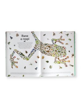 Forme della Natura — Libro - 4