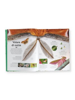 Forme della Natura — Libro - 2