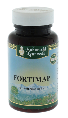 Fortimap - 1
