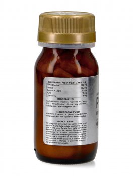 Fosfatildilserina PQQ Extra Redox - 2