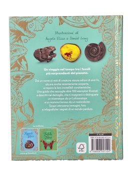 Fossili — Libro - 7