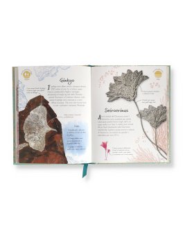 Fossili — Libro - 4