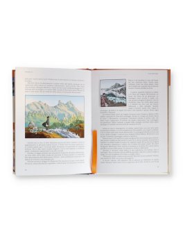 Frankenstein — Libro - 2