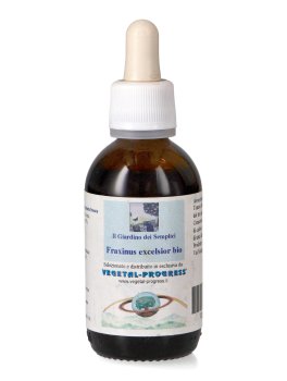 Fraxinus Excelsiorus - Frassino Bio - Estratto Idrogliceroalcolico - 1