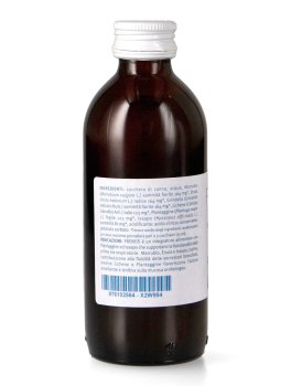Frenos - 2