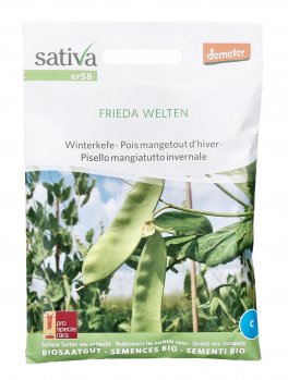 Semi di Frieda Welten (Pisello Mangiatutto Invernale) - 1