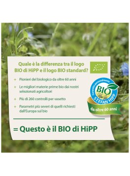 Frutta Frullata e Biscotto Bio - 4