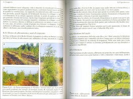 Frutti Insoliti — Libro - 3