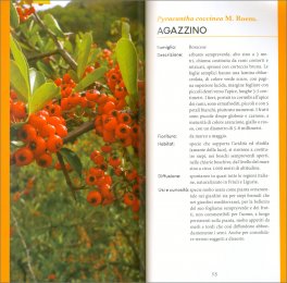 Frutti Spontanei — Libro - 3