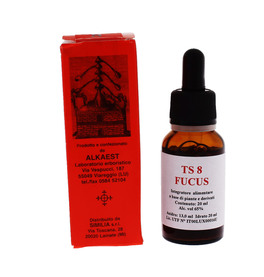 Fucus - TS 8 - 2