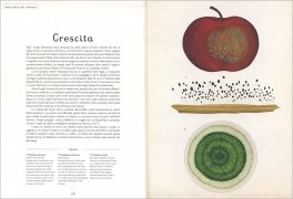 Fungarium — Libro - 3