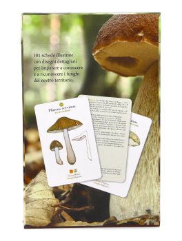 Funghi — Libro - 2