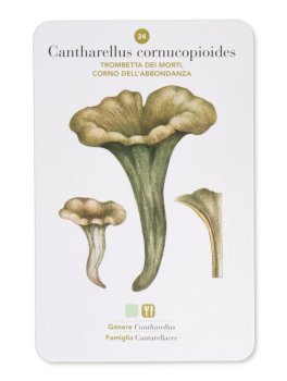 Funghi — Libro - 4