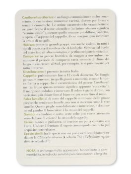 Funghi — Libro - 7
