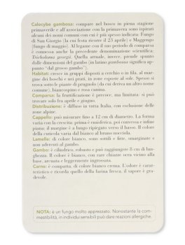 Funghi — Libro - 9