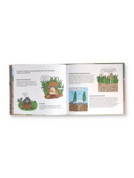 Funghi — Libro - 2