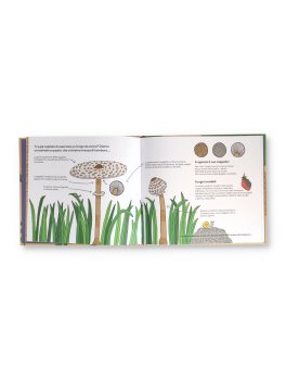 Funghi — Libro - 3