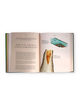 Funghi — Libro - 2