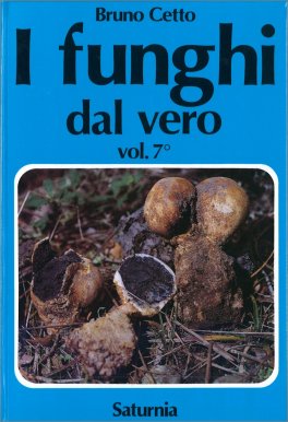 I Funghi dal Vero - Vol. 7 — Libro - 1