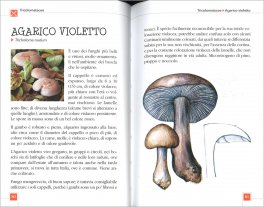 Funghi - Atlanti Natura — Libro - 3