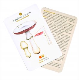 Funghi - Cofanetto con 101 Schede e 6 Divisori — Libro - 2