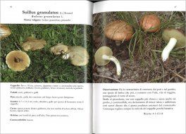 Funghi da Mangiare — Libro - 3