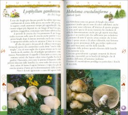 Funghi dalle Nostre Montagne da Boschi e Prati - Funghi — Libro - 2
