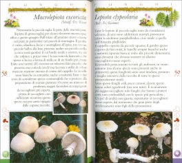Funghi dalle Nostre Montagne da Boschi e Prati - Funghi — Libro - 3