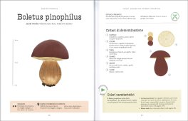 Funghi - Manuale per Aspiranti Intenditori — Libro - 4