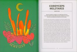 Funghi - Proprietà e Segreti — Libro - 3