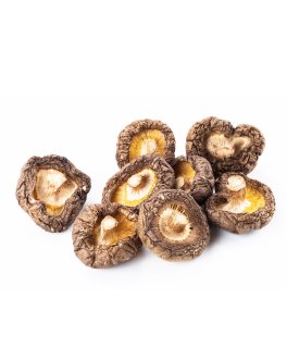 Funghi Shiitake - 5