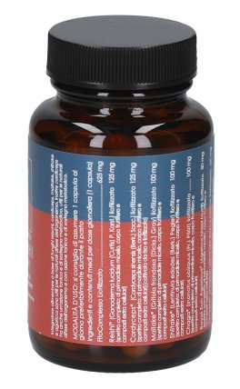 Funghi Sinergy - Reishi, Cordyceps, Maitake, Shitake, Chaga, Royal Sun Agaricus, Zenzero - 2