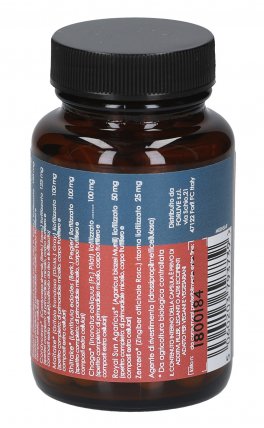 Funghi Sinergy - Reishi, Cordyceps, Maitake, Shitake, Chaga, Royal Sun Agaricus, Zenzero - 3