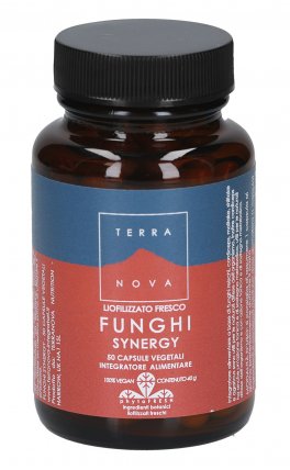 Funghi Sinergy - Reishi, Cordyceps, Maitake, Shitake, Chaga, Royal Sun Agaricus, Zenzero - 1