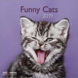 Funny Cats - Calendario 2019