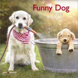 Funny Dog - Calendario 2019