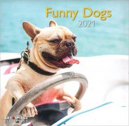 Funny Dogs - 2021