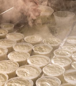 Fuscella per Formaggio e Ricotta - 400/500g - 5