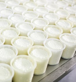 Fuscella per Formaggio e Ricotta - 4