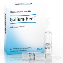 Galium-Heel® 10 Fiale - 1