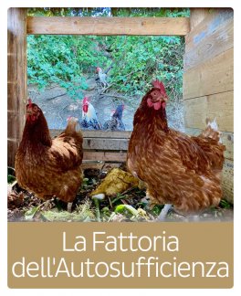 Galline felici in permacultura. V Edizione (Nuove sessioni)