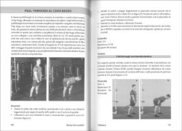 Gambe Forti e Potenti — Libro - 2