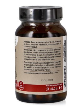 Ganoderma Lucidum - 2