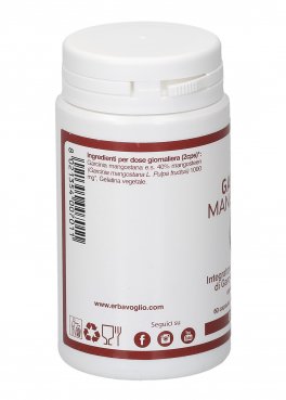 Garcinia Mangostana - Integratore a base di Garcinia Mangostana - 3