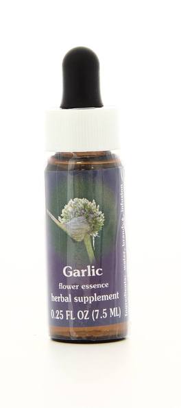 Garlic - Fiori californiani - 1