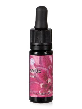 Garlic - Fiori Californiani - Dose - 1