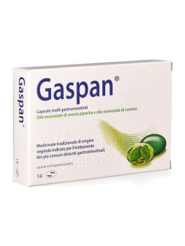 Gaspan - 1