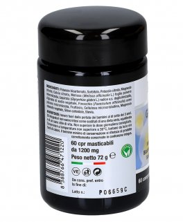 Gastro-Basic - Integratore di Bicarbonato di potassio, minerali Citrati, Sodio Arginato ed estratti Vegetali in compresse - 3