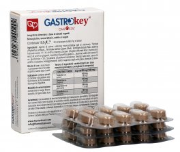 Gastrokey - 2