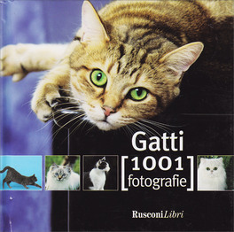 Gatti - 1001 Fotografie — Libro - 1